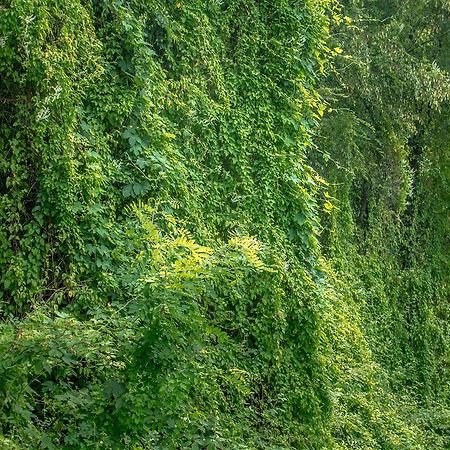 Villa Turisticna Kmetija Stanfel Podsabotin Esterno foto