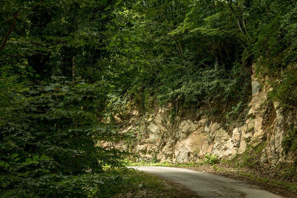 Villa Turisticna Kmetija Stanfel Podsabotin Esterno foto