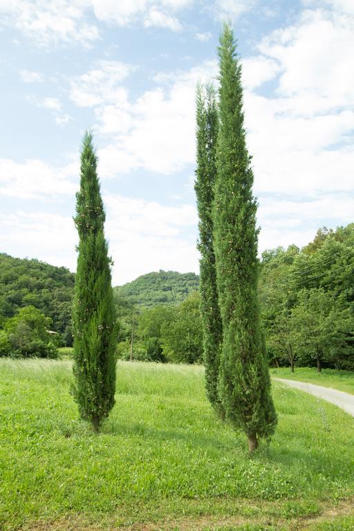Villa Turisticna Kmetija Stanfel Podsabotin Esterno foto